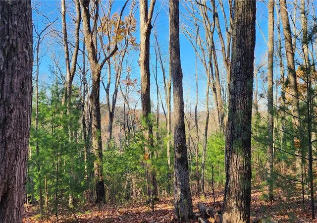 3rd image of 0 Meadowlands Dr, Talking Rock, GA 30175 | MLS# 7782994