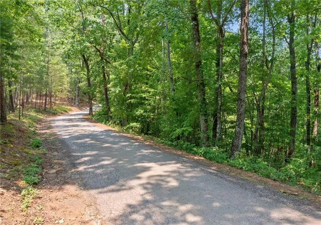 4th image of 0 Meadowlands Dr, Talking Rock, GA 30175 | MLS# 7782994