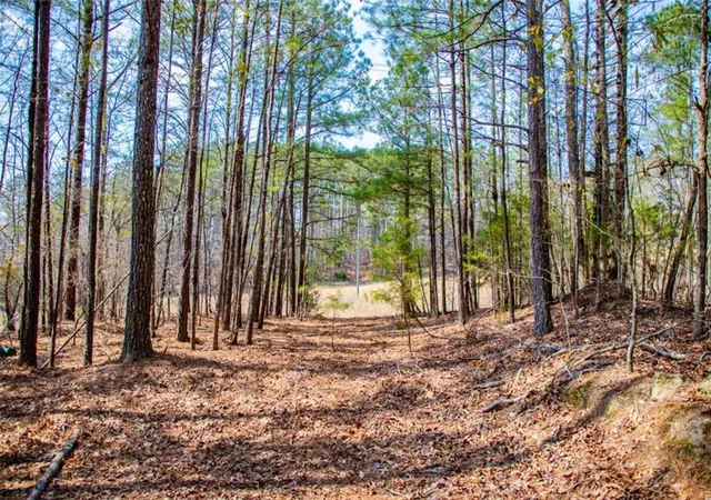 Photo 2 of Land for sale at 3940 Clinton Ct, Villa Rica, GA 30180 | MLS# 7860742 | Listing updated on 2026-10-29