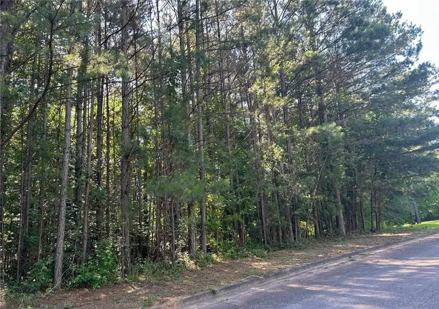 2nd image of 136 Harrison Pl, Hampton, GA 30228 | MLS# 7788242
