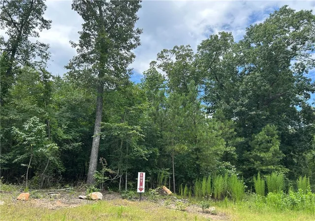 2nd image of 0 Hamilton Rd, Palmetto, GA 30268 | MLS# 7803161
