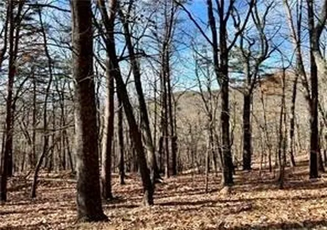 Photo 1 of Land for sale at 1520 Moss Patch Trl, Jasper, GA 30143 | MLS# 7525571 | Listing updated on 2026-02-06
