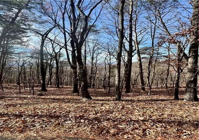 Photo 2 of Land for sale at 1520 Moss Patch Trl, Jasper, GA 30143 | MLS# 7525571 | Listing updated on 2026-02-06