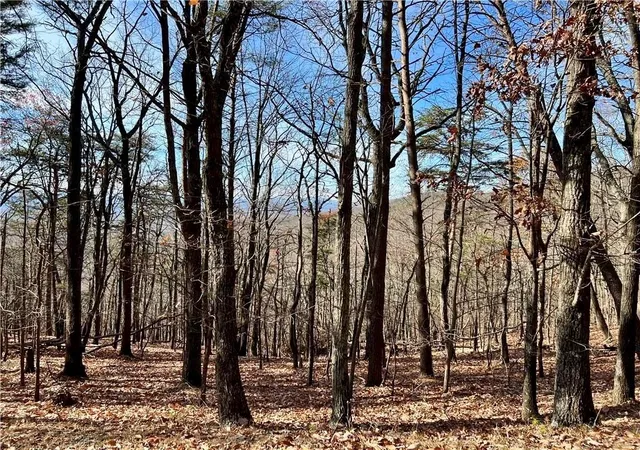 Photo 3 of Land for sale at 1520 Moss Patch Trl, Jasper, GA 30143 | MLS# 7525571 | Listing updated on 2026-02-06