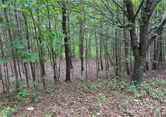 Photo 3 of Land for sale at 585 Galaxy Way, Ranger, GA 30734 | MLS# 7774163 | Listing updated on 2026-09-02