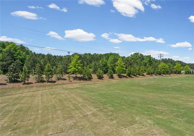 Homes for sale in Locust Grove, GA | 256 Nesta Grove, Locust Grove, GA 30248 | MLS# 7754346