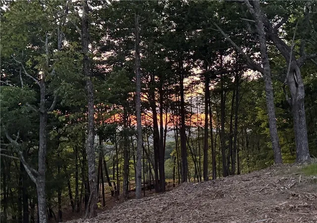 Photo 3 of Land for sale at 710 Railey Ridge NE, Ranger, GA 30734 | MLS# 7792312 | Listing updated on 2026-07-15