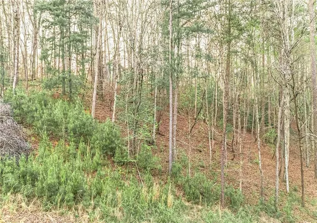 Photo 4 of Land for sale at 102 Overlook Way, Ellijay, GA 30540 | MLS# 7750961 | Listing updated on 2026-07-21