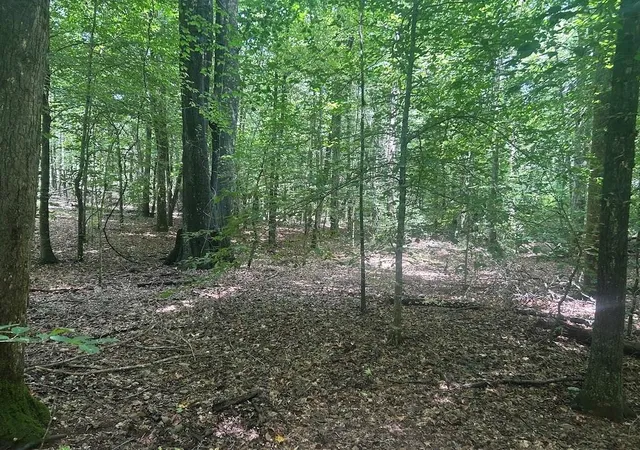 Photo 1 of Sale Pending at 111 Riversong (tract 26), Carrollton, GA 30117 | MLS# 7823195 | Listing updated on 2026-09-08