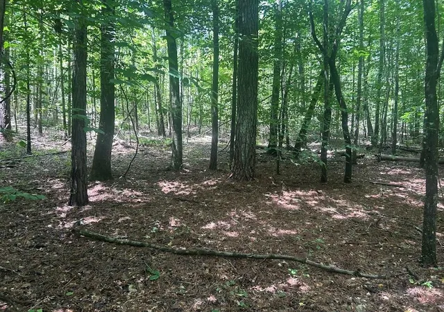 Photo 2 of Sale Pending at 111 Riversong (tract 26), Carrollton, GA 30117 | MLS# 7823195 | Listing updated on 2026-09-08