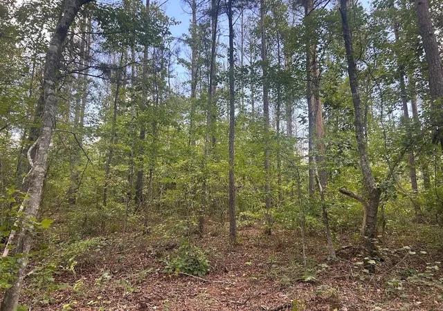 Photo 2 of Sale Pending at 111 Riversong (tract 26), Carrollton, GA 30117 | MLS# 7823195 | Listing updated on 2026-09-08