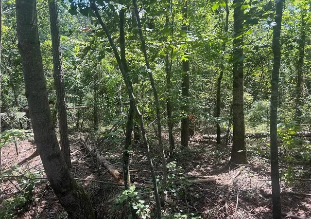 Photo 3 of Sale Pending at 111 Riversong (tract 26), Carrollton, GA 30117 | MLS# 7823195 | Listing updated on 2026-09-08