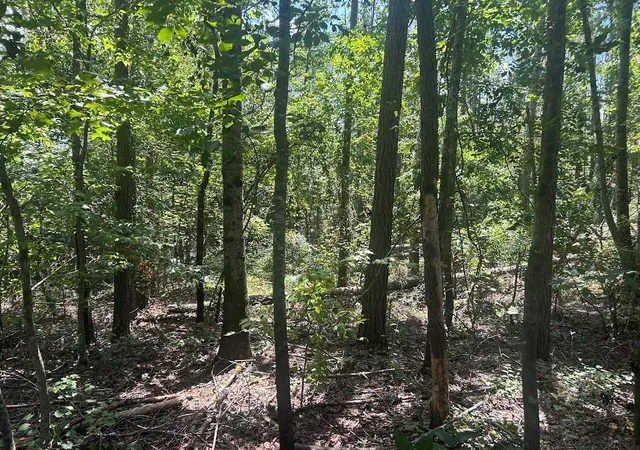 Photo 4 of Sale Pending at 111 Riversong (tract 26), Carrollton, GA 30117 | MLS# 7823195 | Listing updated on 2026-09-08