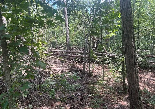 Photo 6 of Sale Pending at 111 Riversong (tract 26), Carrollton, GA 30117 | MLS# 7823195 | Listing updated on 2026-09-08