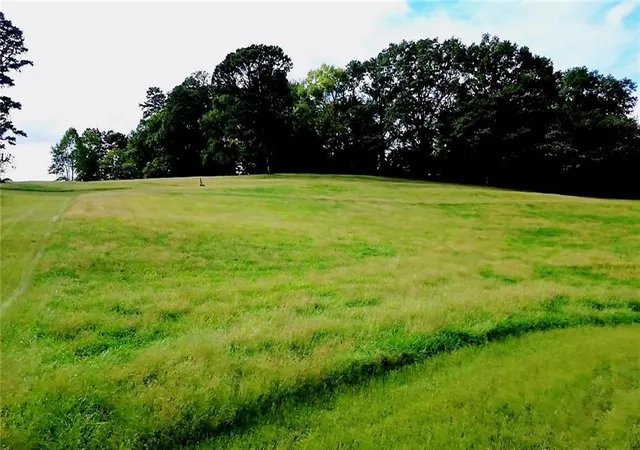 11th image of 264 Lagree Duck Rd, Braselton, GA 30517 | MLS# 7784185