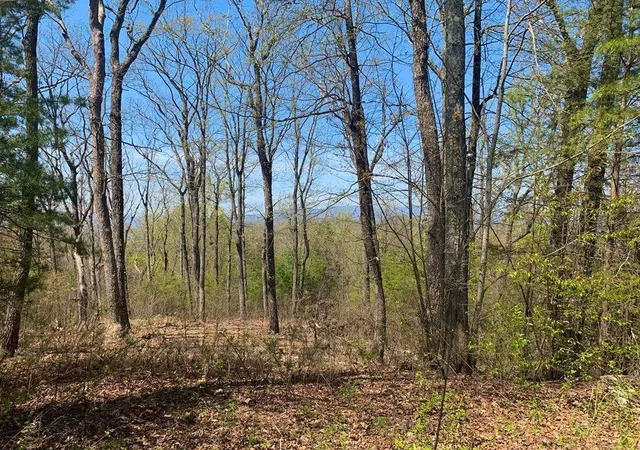 Photo 27 of Land for sale at 4391 Old Burnt Mountain, Ellijay, GA 30536 | MLS# 7780099 | Listing updated on 2026-06-02