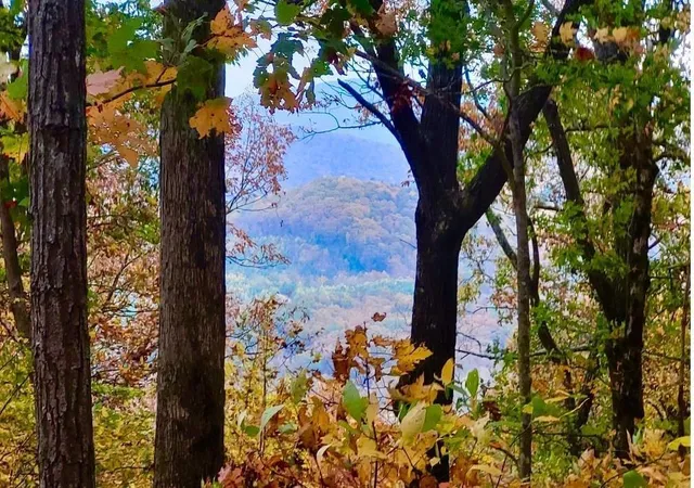 Photo 3 of Land for sale at 4391 Old Burnt Mountain, Ellijay, GA 30536 | MLS# 7780099 | Listing updated on 2026-06-02