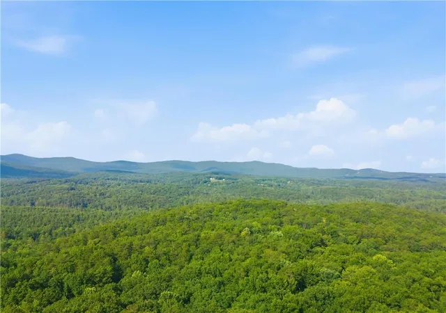 45th image of 225 Overlook Cir, Clarkesville, GA 30523 | MLS# 7737307