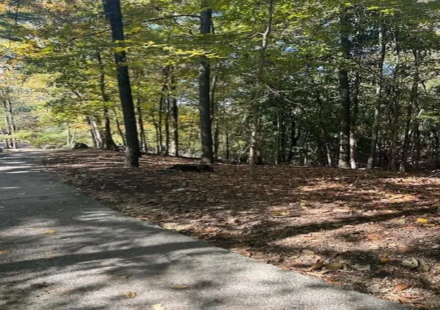 3rd image of 18 W Wesley Rdg, Atlanta, GA 30327 | MLS# 7677587