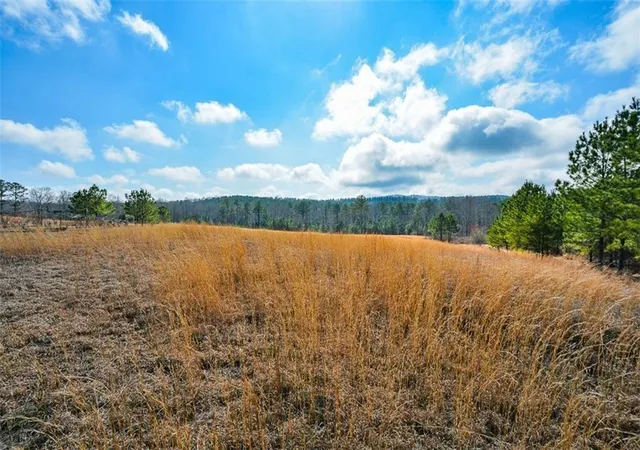 10th image of 119 Inland 5 Acres Dr, Talking Rock, GA 30175 | MLS# 7727672