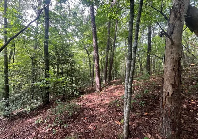 Photo 14 of Land for sale at 0 Nugget Ct, Ellijay, GA 30540 | MLS# 7828219 | Listing updated on 2026-08-28