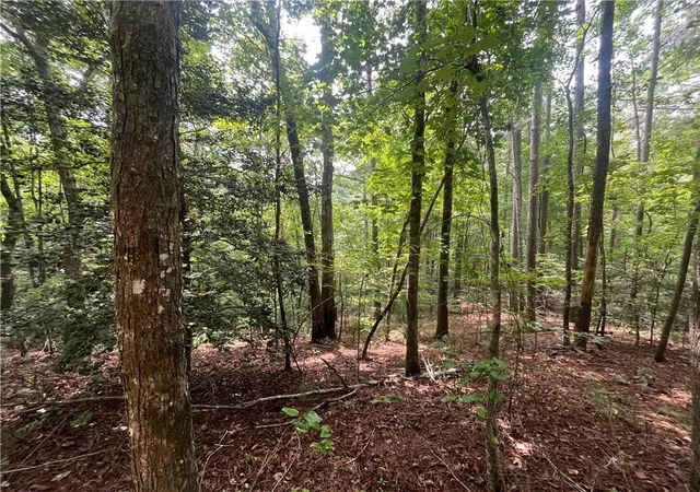 Photo 2 of Land for sale at 0 Nugget Ct, Ellijay, GA 30540 | MLS# 7828219 | Listing updated on 2026-08-28