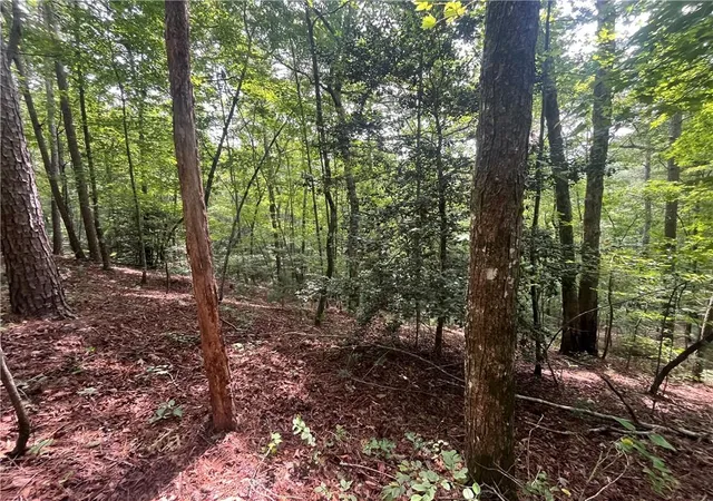 Photo 2 of Land for sale at 0 Nugget Ct, Ellijay, GA 30540 | MLS# 7828219 | Listing updated on 2026-08-28