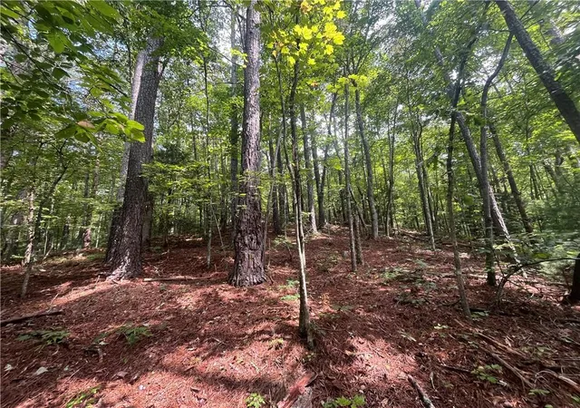 Photo 3 of Land for sale at 0 Nugget Ct, Ellijay, GA 30540 | MLS# 7828219 | Listing updated on 2026-08-28