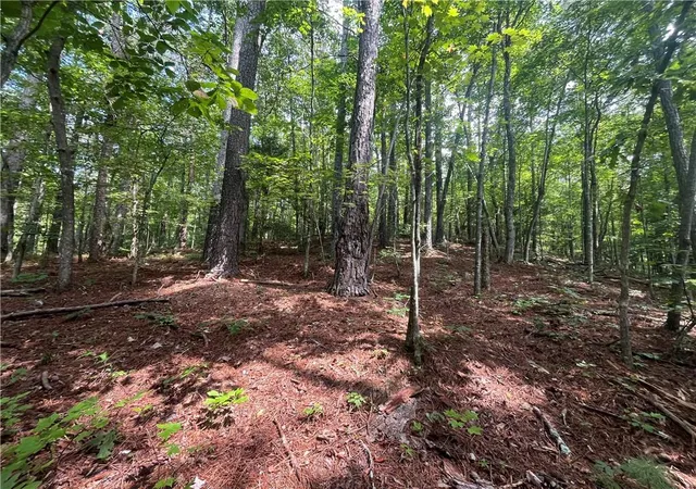 Photo 4 of Land for sale at 0 Nugget Ct, Ellijay, GA 30540 | MLS# 7828219 | Listing updated on 2026-08-28