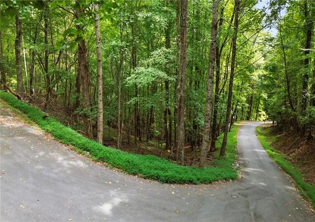 2nd image of 0 Sal Mountain Wy, Sautee Nacoochee, GA 30571 | MLS# 7819076