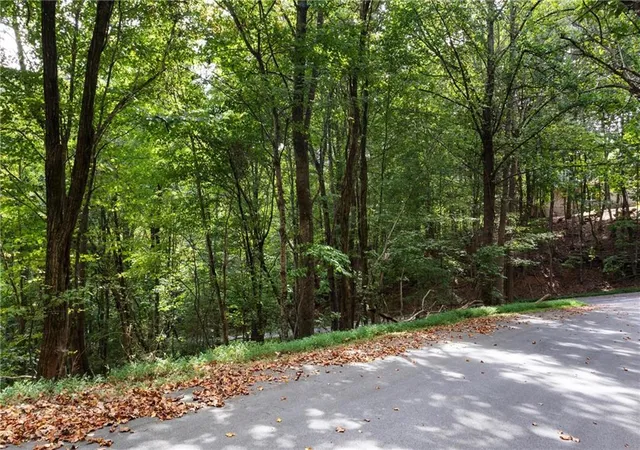 4th image of 0 Sal Mountain Wy, Sautee Nacoochee, GA 30571 | MLS# 7819076