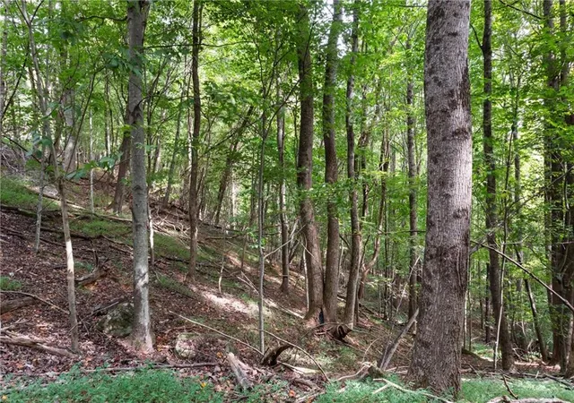 5th image of 0 Sal Mountain Wy, Sautee Nacoochee, GA 30571 | MLS# 7819076