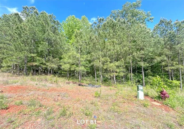 1st image of 208 Oakdale Wy, Temple, GA 30179 | MLS# 7773581