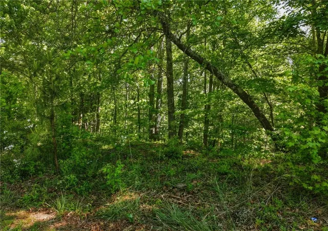 Photo 3 of Land for sale at Lot 7 Summit Dr, Dahlonega, GA 30533 | MLS# 7754105 | Listing updated on 2026-08-21