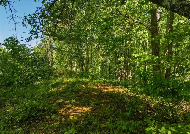 Photo 4 of Land for sale at Lot 7 Summit Dr, Dahlonega, GA 30533 | MLS# 7754105 | Listing updated on 2026-08-21
