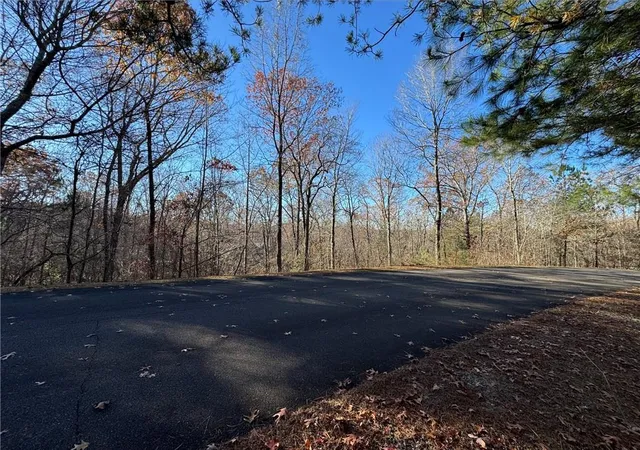 Photo 1 of Land for sale at 131 Harris Crk Dr, Ellijay, GA 30540 | MLS# 7677122 | Listing updated on 2026-10-29
