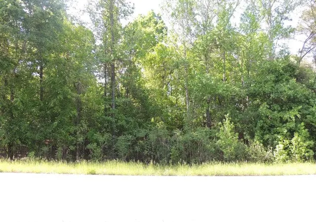 Homes for sale in Knoxville, GA | 0 Causey Rd, Knoxville, GA 31050 | MLS# 7768362