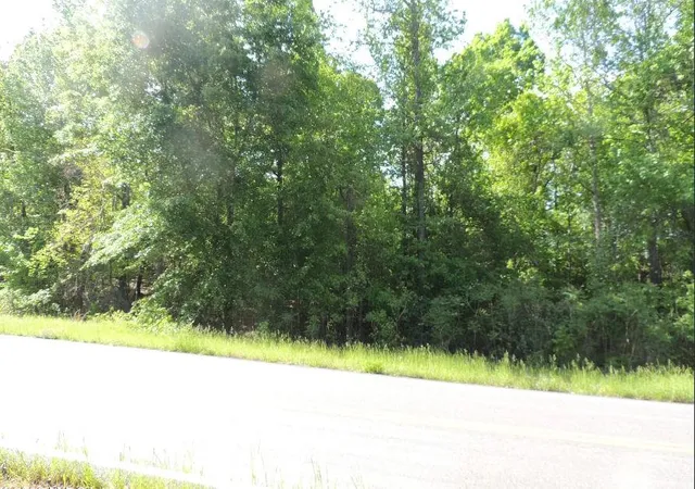 Homes for sale in Knoxville, GA | 0 Causey Rd, Knoxville, GA 31050 | MLS# 7768362