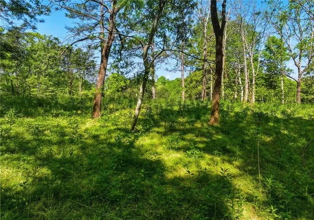 Photo 2 of Land for sale at Lot 3 Summit Dr, Dahlonega, GA 30533 | MLS# 7754092 | Listing updated on 2026-08-21