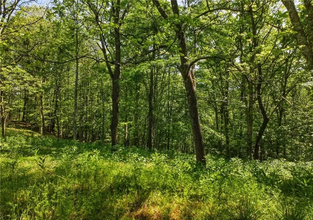Photo 2 of Land for sale at Lot 3 Summit Dr, Dahlonega, GA 30533 | MLS# 7754092 | Listing updated on 2026-08-21