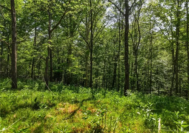 Photo 3 of Land for sale at Lot 3 Summit Dr, Dahlonega, GA 30533 | MLS# 7754092 | Listing updated on 2026-08-21