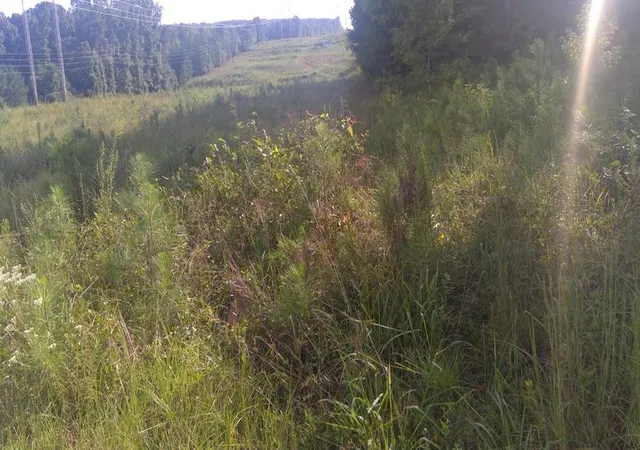 1st image of 0 Sw Klondike Rd Sw, Conyers, GA 30094 | MLS# 7601318