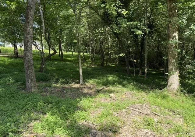 Photo 10 of Land for sale at 0 Lot 6 Clear Crk Preserve Way, Ellijay, GA 30536 | MLS# 7782526 | Listing updated on 2026-06-09