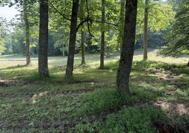 Photo 1 of Land for sale at 0 Lot 6 Clear Crk Preserve Way, Ellijay, GA 30536 | MLS# 7782526 | Listing updated on 2026-06-09