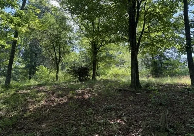 Photo 2 of Land for sale at 0 Lot 6 Clear Crk Preserve Way, Ellijay, GA 30536 | MLS# 7782526 | Listing updated on 2026-06-09