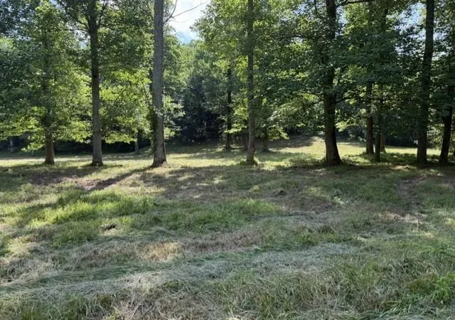 Photo 4 of Land for sale at 0 Lot 6 Clear Crk Preserve Way, Ellijay, GA 30536 | MLS# 7782526 | Listing updated on 2026-09-28