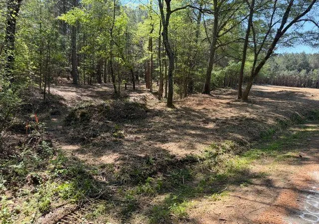 Homes for sale in Taylorsville, GA | 84 Popham Road Tract 1, Taylorsville, GA 30178 | MLS# 7742876