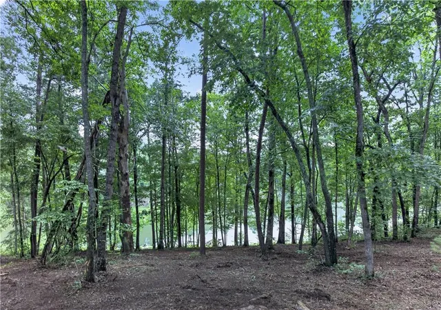 Photo 4 of Land for sale at 188 Pinnacle Dr, Ellijay, GA 30540 | MLS# 7820525 | Listing updated on 2026-08-13
