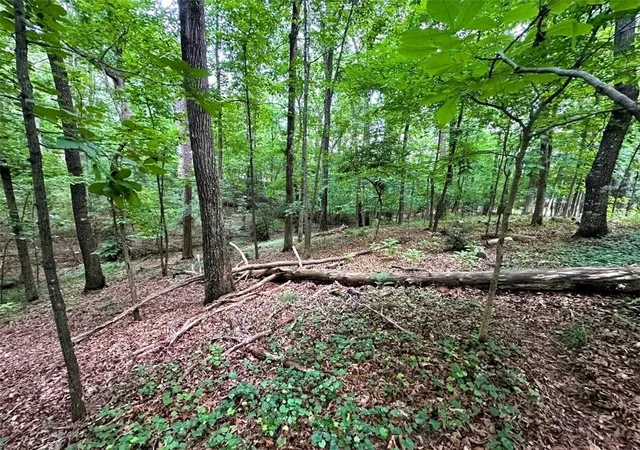 4th image of 00 Thornwood Dr, Calhoun, GA 30701 | MLS# 7786457