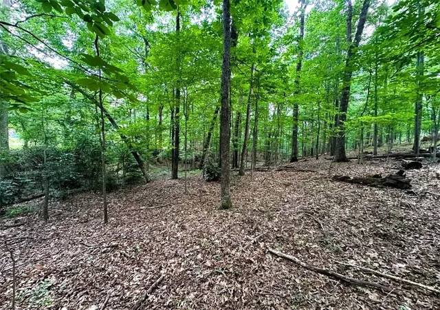 5th image of 00 Thornwood Dr, Calhoun, GA 30701 | MLS# 7786457